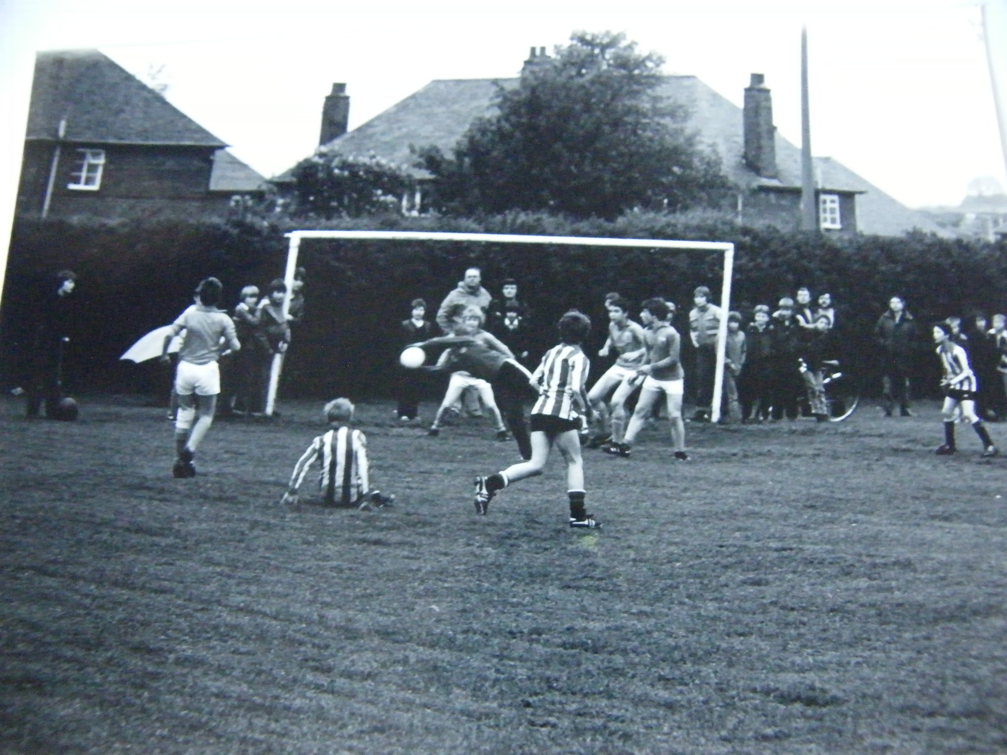 101053083_3023497657715515_7099753752592121856_o